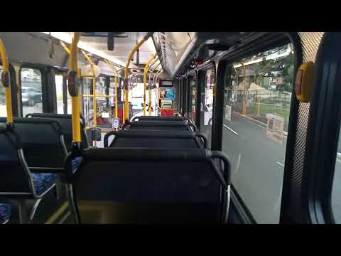 Transit Systems - 2905 - Scania K310UB/Volgren Optimus[Kingsgrove](487 - Bankstown)