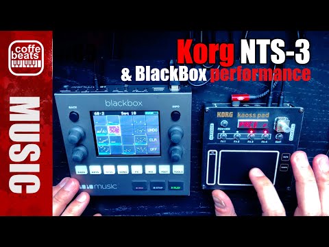 CoffeBeats #90 - Cozzy Beat flipped by Korg NTS-3