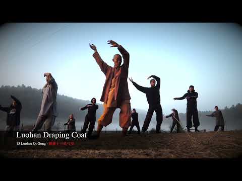"Heart of a Warrior" - Luohan Style Qi Gong - Shaolin Temple Europe - Composed by Sophia J. Bass