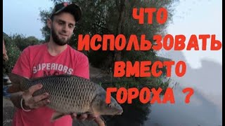 Все для клева на днестре 21 октября