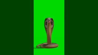 Download lagu green screen effect green screen nagin video #shorts mp3