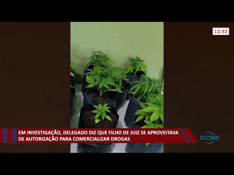 Delegado diz que filho de Juiz se aproveitava de autorização para comercializar drogas 14 04 2021
