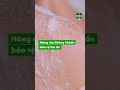 DETTOL ONZEN BẢO VỆ LÀN DA THƯ THÁI RIÊNG MÌNH