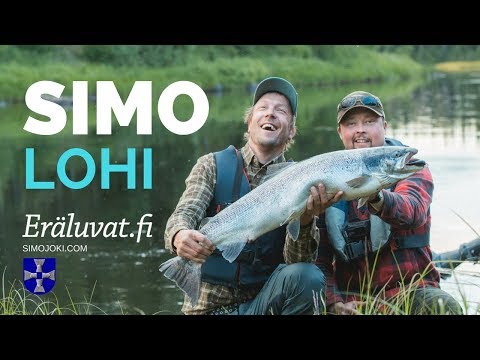 Lohikalassa Simojoella