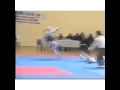 Incredible Knockout During a Karate Match!vbv 