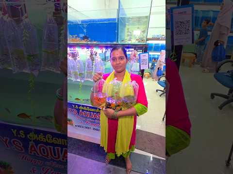 🐠 Just ₹10-க்கு 3 Variety Fish வாங்கலாமா 🤷 #aquarium #fish