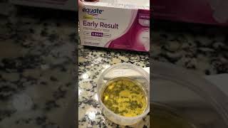 Pregnancy test