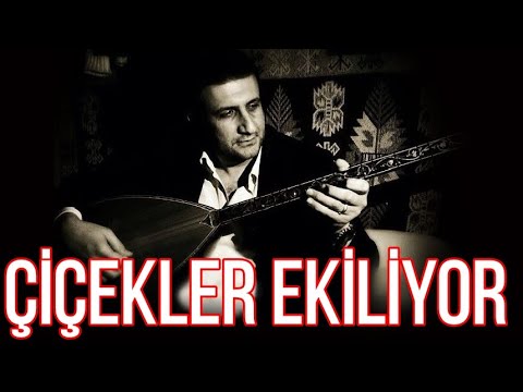 Çiçekler ekiliyor - Umut Çakır #çiçeklerekiliyor #türküler #neşetertaş