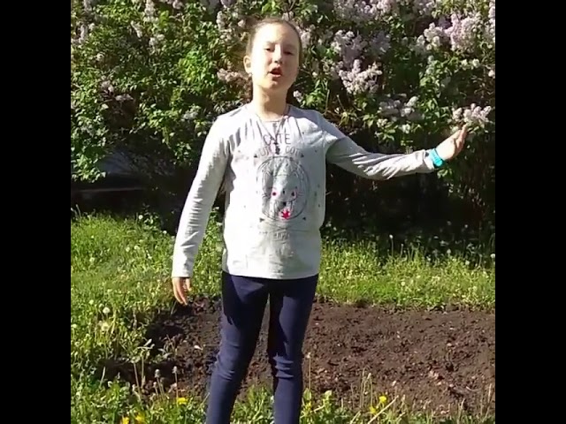 Әминә Йосыпова, Чаллы шәһәре 54нче гимназия базасында эшләүче "Замана" театр берләшмәсе әгъзасы.