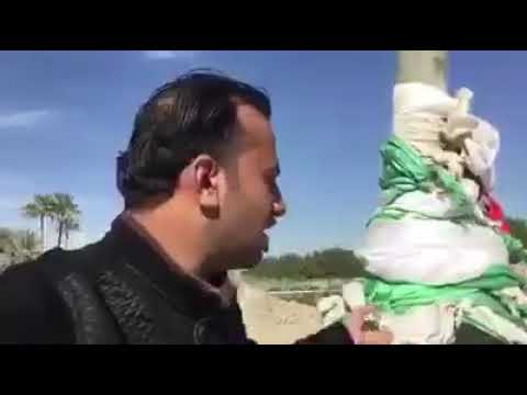 سيد عامود في الرميثه العراق