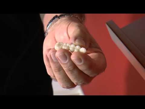 Die Zähne in den verschiedenen Lebensabschnitten