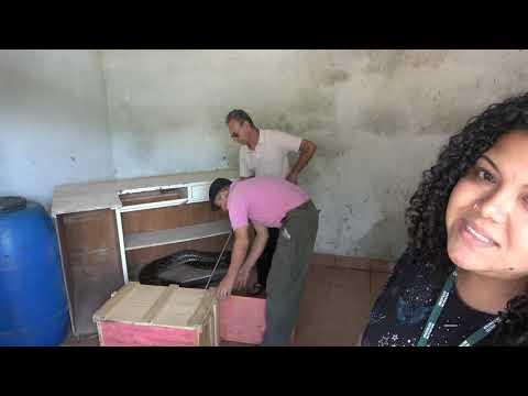 Instituto Butantan recolhe a Cobra Gigante que foi Capturada em Juquitiba na Favela dos Brancos.