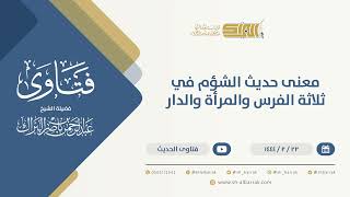 صورة معنى حديث الشؤم في ثلاثة الفرس والمرأة والدار - الشيخ عبدالرحمن البراك (10138)