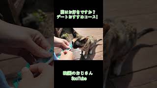 韓国の島、済州島旅行コースおすすめ！ #韓国vlog