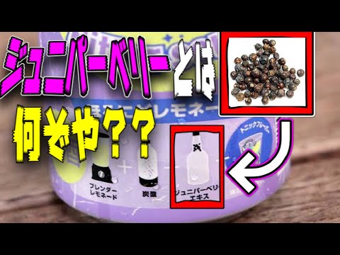 アイルランドの柱状ジュニパー 植物