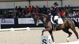 J-2 avant les Championnats du Monde Jeunes Chevaux