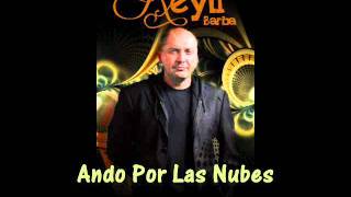 Ando Por Las Nubes Lyrics English Translation