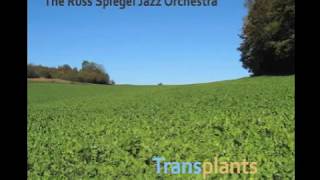 Russ Spiegel Jazz Orchestra - Count Up