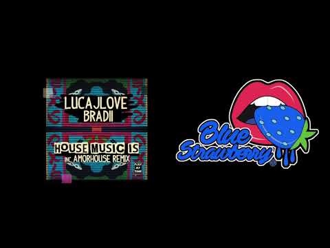 LucaJLove & BRADII - House Music Is (Amorhouse Remix)
