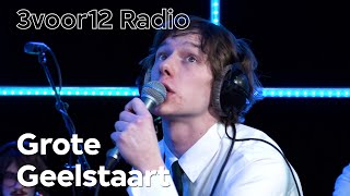 Grote Geelstaart - Maalstroom video