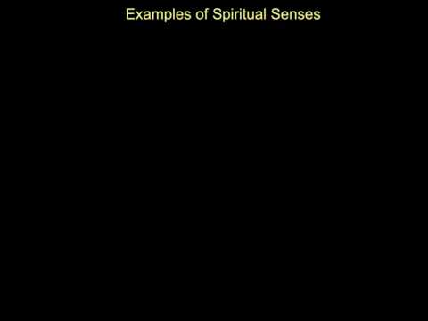 senses of scripture