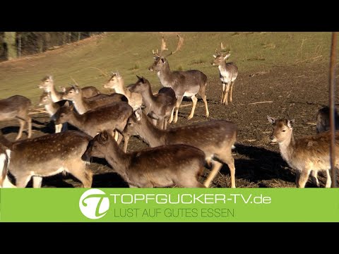 Marinated venison roast in juniper and red wine sauce @TopfguckerTV #recipe #venison roast #food ...