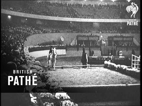 German Horse Show (1938)