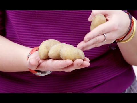 , title : 'HDZ VR 12 vyber vhodnej sadby zemiakov'