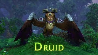 World of Warcraft : Druid Class Mount