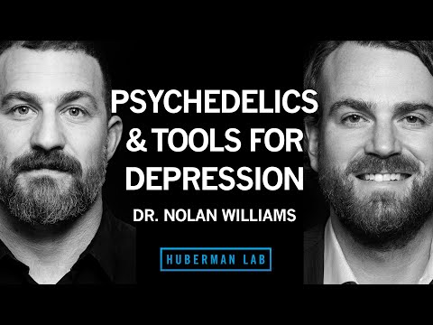 Psychedelics & Neurostimulation for Brain Rewiring | Dr. Nolan Williams