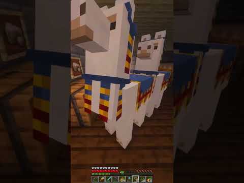 Recoil Mojo - Minecraft 1.19 New Shaders THE DEEP Survival Multiplayer Series Java SMP