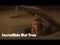 Incredible But True Original Trailer (Quentin Dupieux, 2022)
