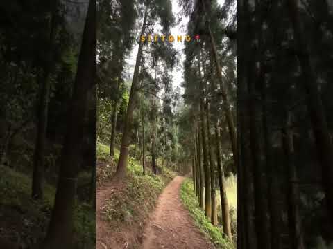 📍SITTONG View#youtubeshorts #viral #shortvideo #trending #mountains #views #explore #nature#explore