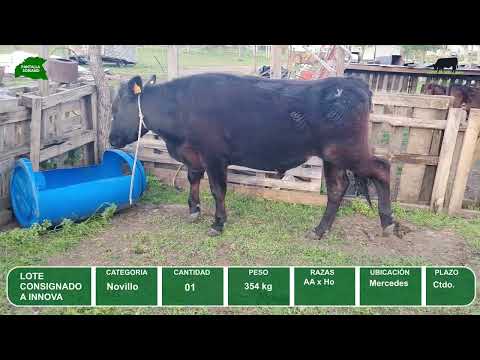 Video del lote L0-000845