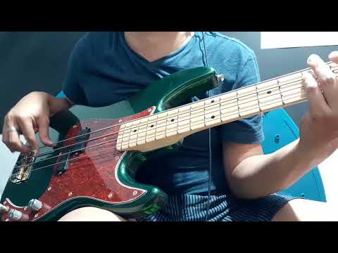 FAD Corona P4 Standard with Bartolini 8CBP (2)