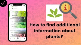 How to find plant information on PlantNet? - PlantNet Tips