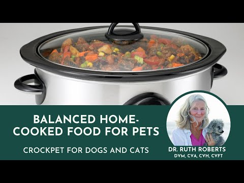 Balanced Home-cooked Food For Pets | Crockpet for Dogs and Cats | Dr. Ruth Roberts
