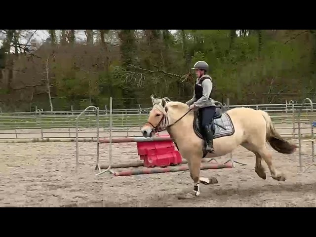 Merrie Fjord Te koop 2022 Isabel