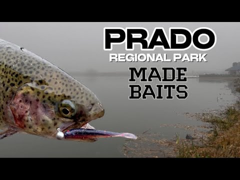 SoCal Trout Fishing at Prado Regional Park | MADE BAITS Pheasant Tail Success