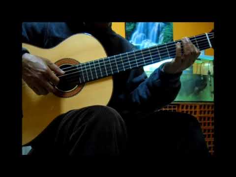Malhão de Águeda /Guitarra