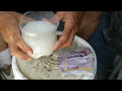 download lagu mp3 mp4 Ingredient Recipe Generator, download lagu Ingredient Recipe Generator gratis, unduh video klip Ingredient Recipe Generator