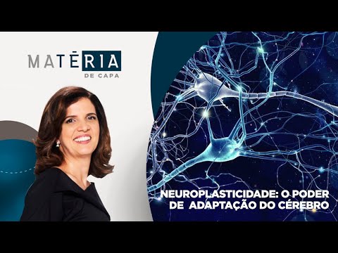 Matéria de Capa | Neuroplasticidade: o poder de adaptação do cérebro | 27/11/2022