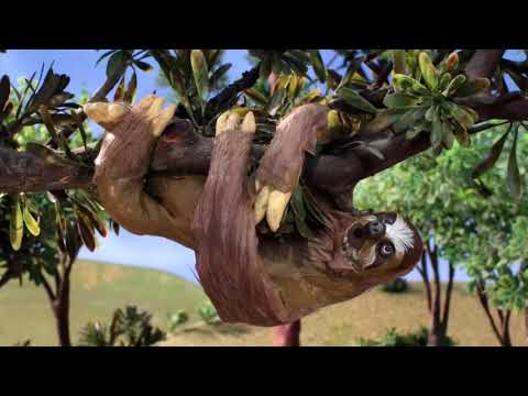 Robot Chicken - Slow Burn