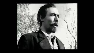 ALMAFUERTE // Como los bueyes