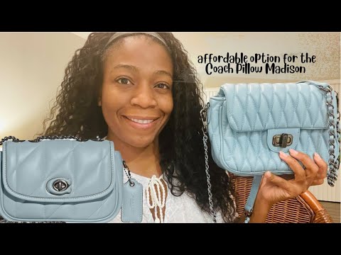 Badgley Mischka| Affordable bags that look expensive| full review + what’s fits  +mod shots #coach
