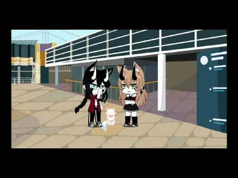 Segura o meu poodle 🐩!!