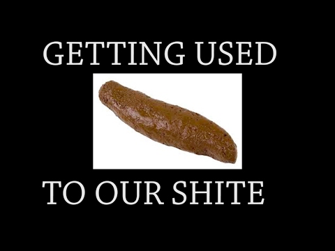 Formidable Vegetable Sound System - 'My Dad's Dunny Intro'