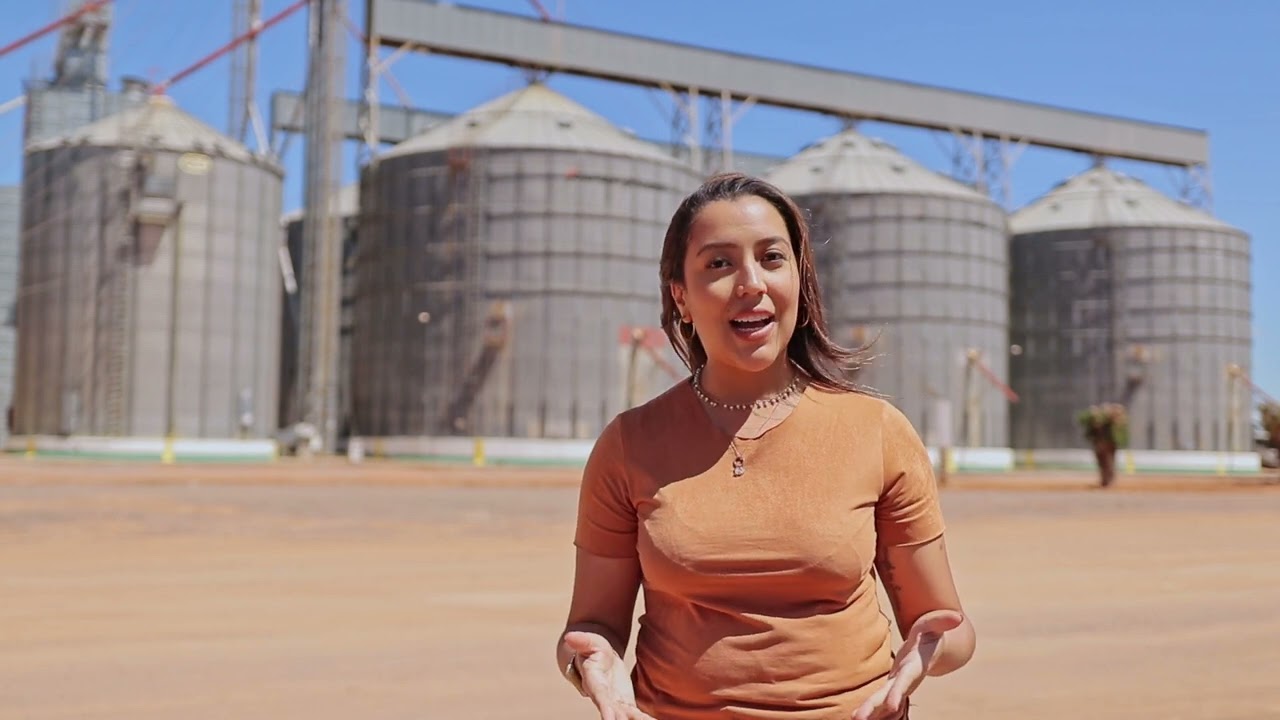 Senar capacita operadores de silos; veja os processos envolvidos na armazenagem de grãos