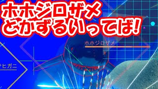 【Ace of Seafood】#2 サメ現る！！