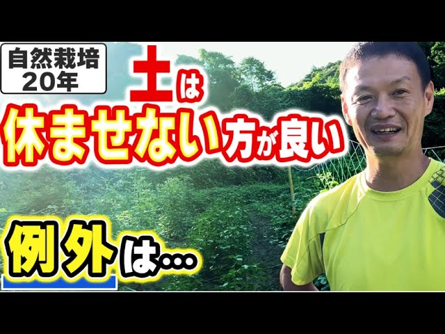 土は休ませない方が強くなる理由